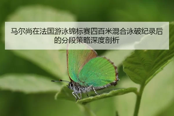 ma-er-shang-zai-fa-guo-you-yong-jin-biao-sai-si-bai-mi-hun-he-yong-po-ji-lu-hou-de-fen-duan-ce-lve-shen-du-pou-xi-2-357.jpg