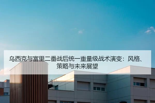 乌西克与富里二番战后统一重量级战术演变：风格、策略与未来展望