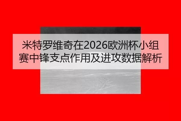 米特罗维奇在2026欧洲杯小组赛中锋支点作用及进攻数据解析